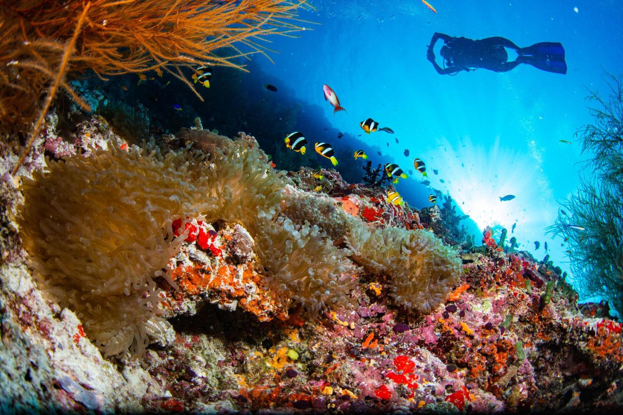 Noku Maldives, Vignette Collection By Ihg, 50 Percent Off Shared Roundtrip Seaplane Transport When You Stay 4 Nights Or More Stay Period Until 23 Dec 2025 (Adults Only) Kudafunafaru Экстерьер фото